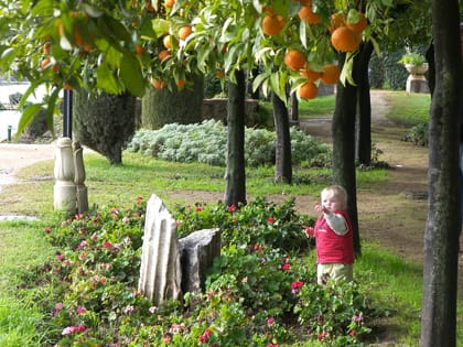 Alcazar Garden in Cordoba