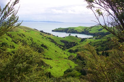 Einen blick auf die Coromandel in Neuseeland Einen blick auf die Coromandel in Neuseeland