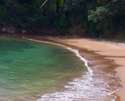 Ein Strand in Coromandel in Neuseeland Ein Strand in Coromandel in Neuseeland