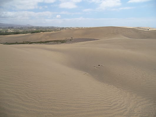 Dünen Maspalomas auf Gran Canaria. Dünen Maspalomas auf Gran Canaria.