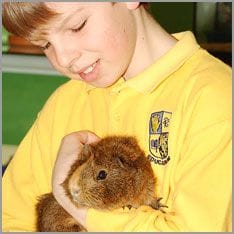 Junge mit ein haustiere