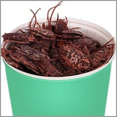 cup full of cockroaches
