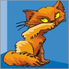 katze