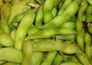 green soybeans