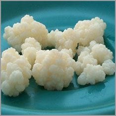 Kefir ist fermentierte Milch