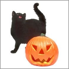 Halloween Cat and Pumpkin