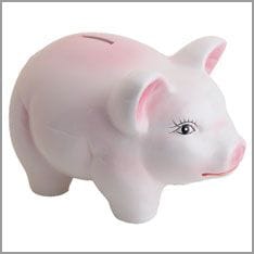 Sparschwein, für Eigenheim sparen