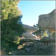Ciudad Encantada, Osos Ciudad Encantada, Osos