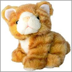 Peluche, Gato