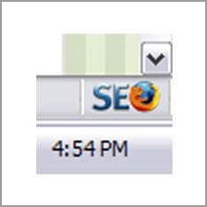 Firefox SEO Icon Firefox SEO Icon