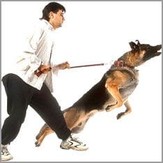Man with dog on a leash