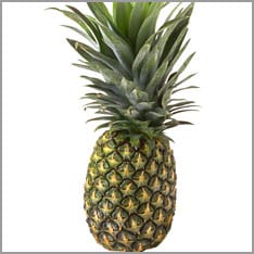 Ananas