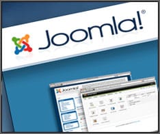 Joomla website