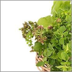 Thyme