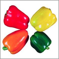 rote, gelbe, orange und grüne Paprika
