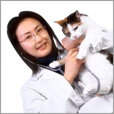 Katze auf dem Arm