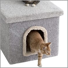 Homemade Cat Litter Box