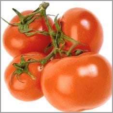 Strauchtomaten
