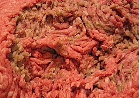Salmonella in meat