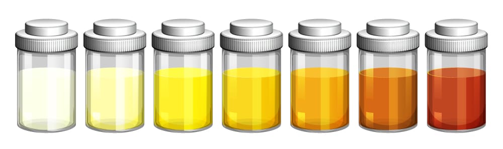 What does urine actually taste like?