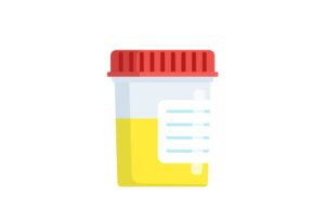What does urine actually taste like?