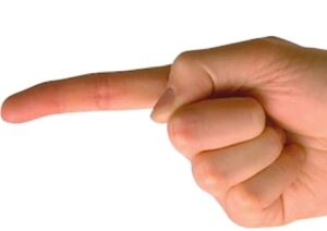 Finger