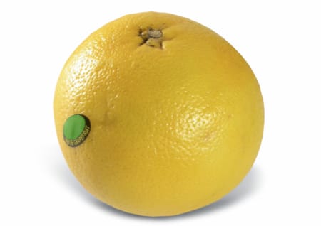 Grapefruit