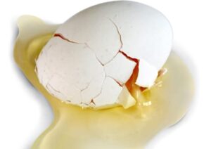 Raw egg