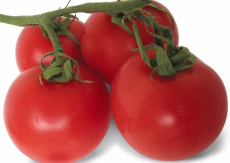 Tomaten