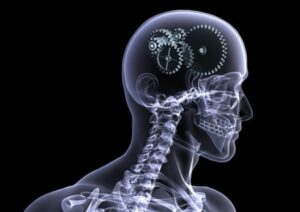 Human body and radiation
