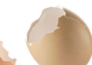 Eggshell