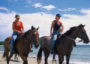 Horse and rider