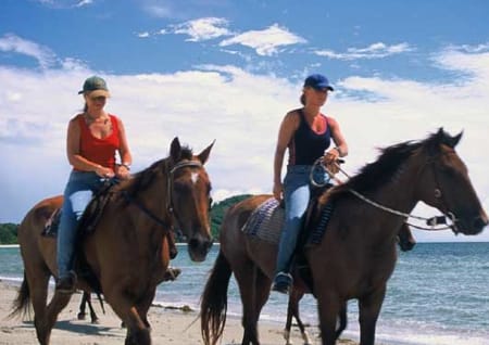 Horse and rider