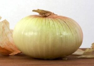 Fresh onion