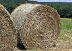Wash hay