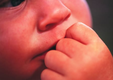 Baby Hunger