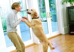 Frau und Hund