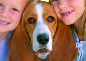 Hund und Kinder