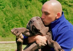 Infections from pets