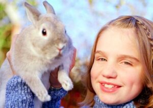 Pet rabbit