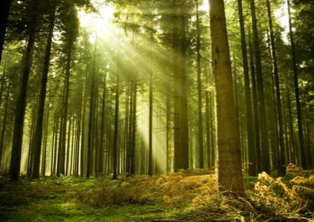 Sonne und Luft