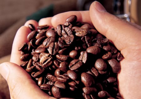 Kaffeebohnen