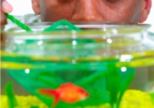 Aquarium reinigen