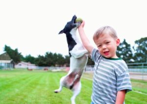Junge mit Hund