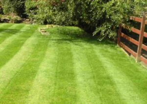 well-kept lawn