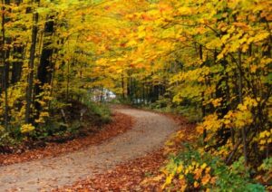 Zelten, Urlaub in der Natur