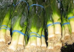 Leek vegetables in bundles