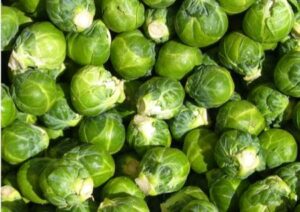 Rosenkohl