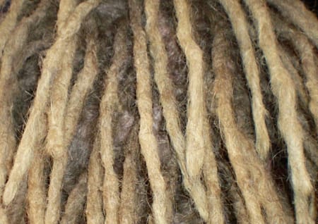 Dreadlocks
