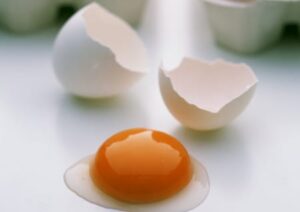 frische Eier
